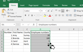 copy data in cells